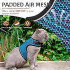 Pupteck breathable cat harness and matching leash set for outdoor walking