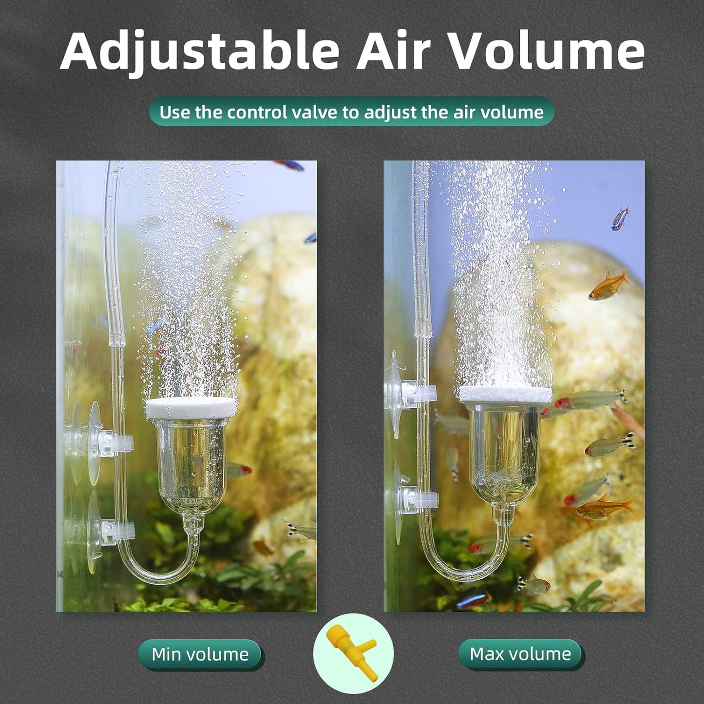 Boxtech fish tank bubble diffuser showing fine micro bubbles in an aquarium.