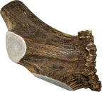 Elkhorn Premium Chews - Elk Antlers for Dogs, X Large (6-10") Split, 1 Pack, All Natural Dog Chew for X Large Dogs, Premium Naturally Shed Antler Bone for Aggressive Chewers, Sourced in the USA - Image 13
