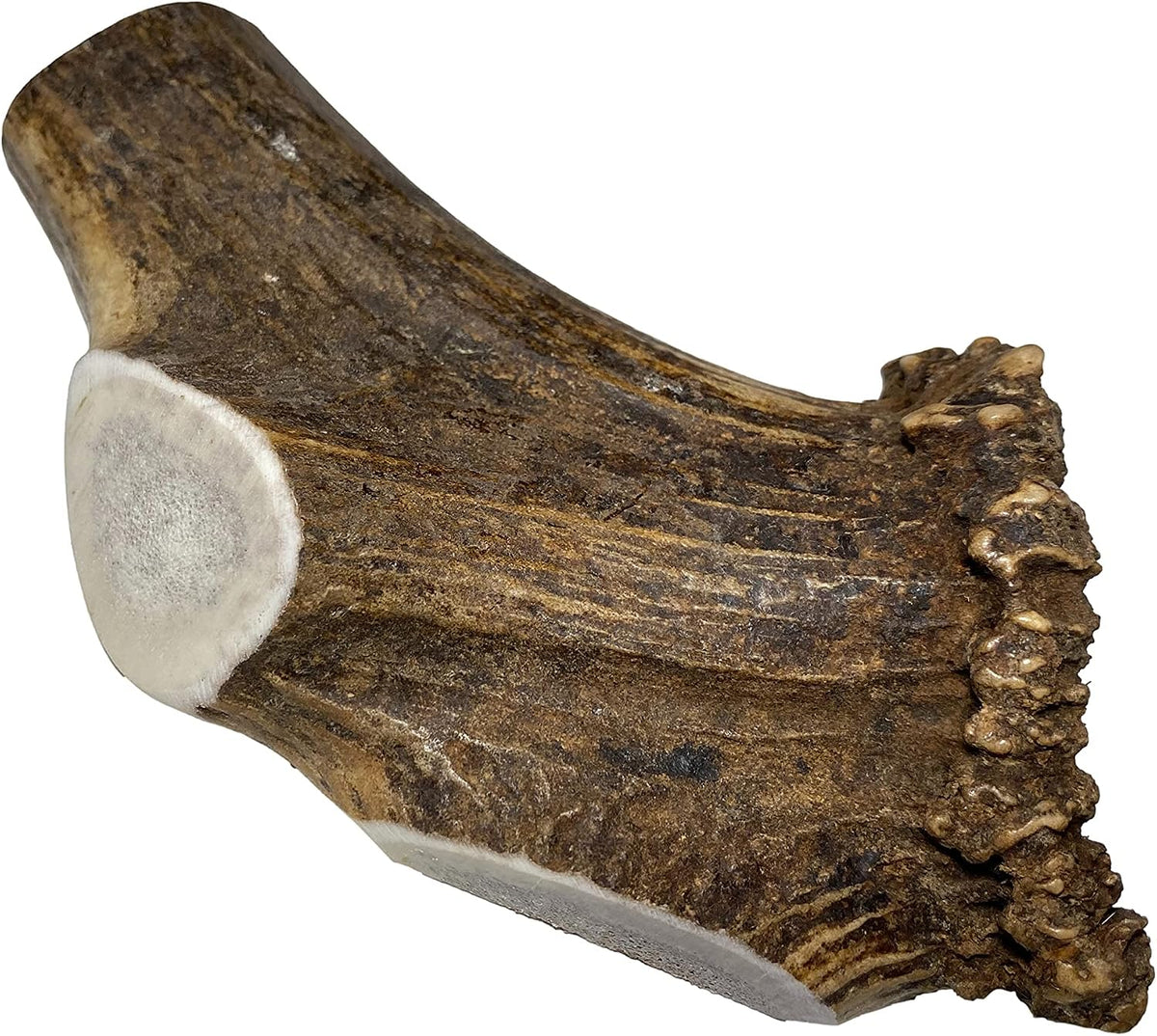 Elkhorn Premium Chews - Elk Antlers for Dogs, X Large (6-10") Split, 1 Pack, All Natural Dog Chew for X Large Dogs, Premium Naturally Shed Antler Bone for Aggressive Chewers, Sourced in the USA - Image 13