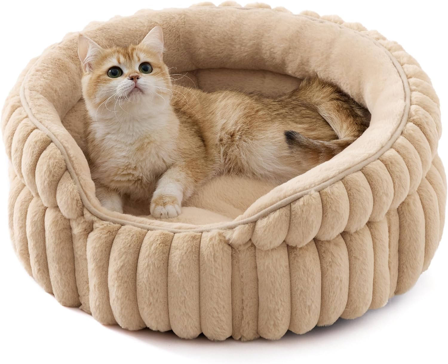 Bedsure ComfyFleece(TM) Cat Bed, Washable Round Cute Pet Beds for Indoor Cats, Super Soft Corduroy Kitten Bed with Anti-Slip Bottom, 20''x20''x8'', Cream - Image 13