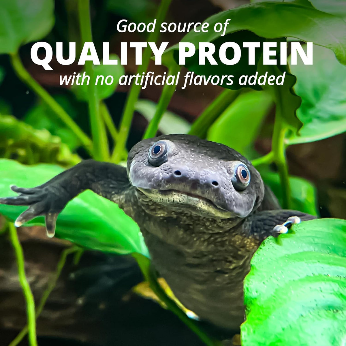 Tetra aquarium turtle food with calcium and vitamin D3