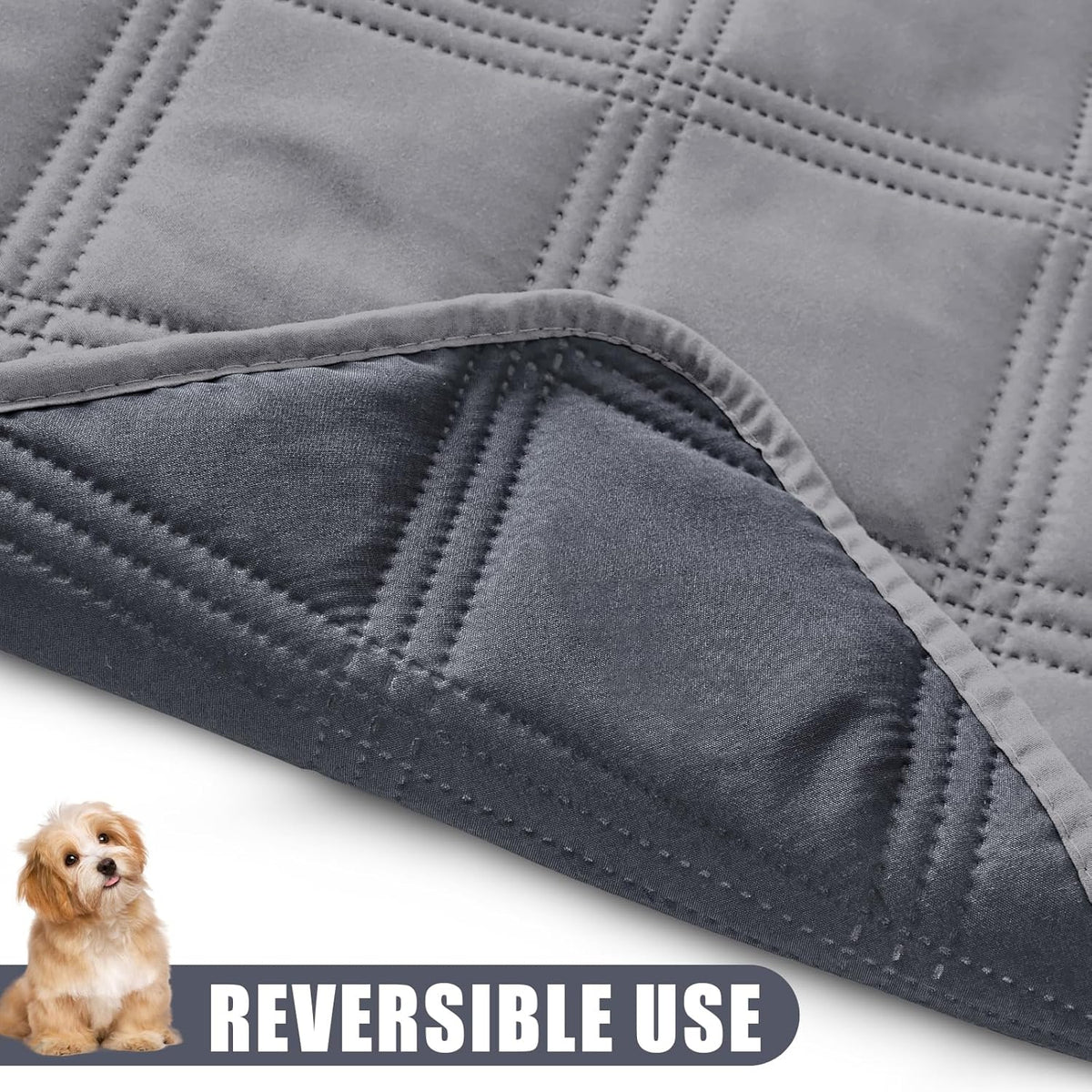 Leakproof dog couch cover protecting home living room sofa from stains.