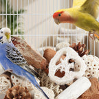 Kyouki natural chew toys for conures and lovebirds