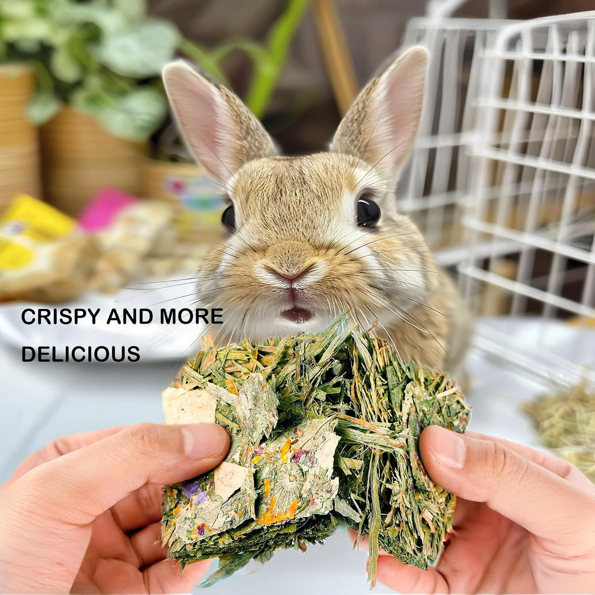 Natural rodent molar treats free from artificial pigments or hormones for safe chewing.