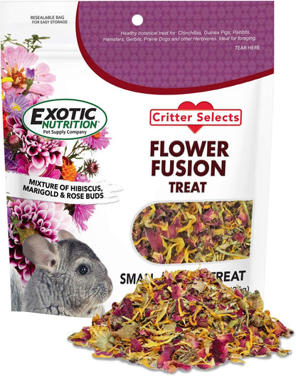 Exotic Nutrition Flower Fusion Treat front pouch view showing organic dried flowers for small pets