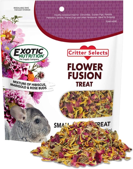 Exotic Nutrition Flower Fusion Treat front pouch view showing organic dried flowers for small pets