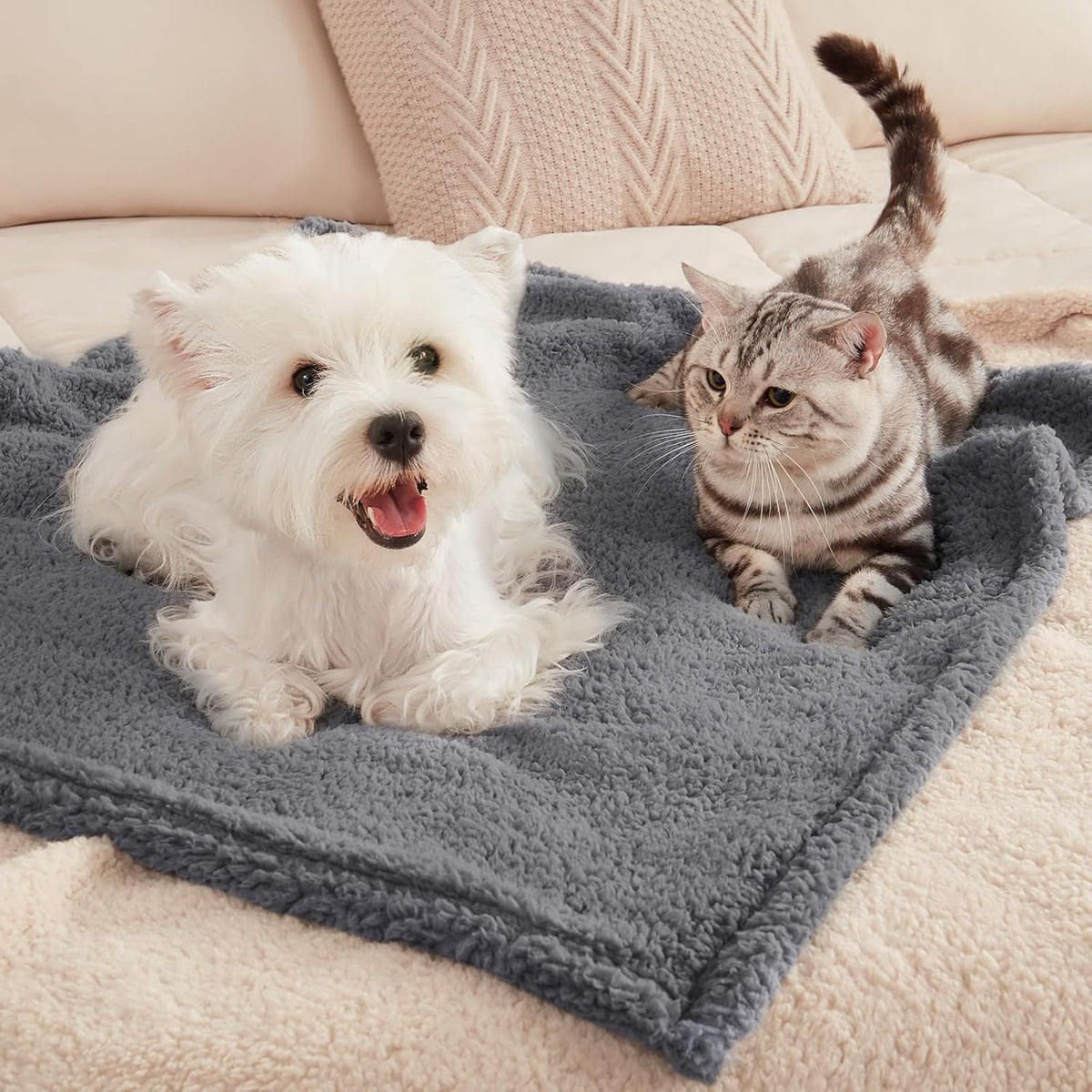 Soft comforting beige blankets spread out inside a standard pet carrier