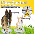 Dog drinking from Draroad outdoor water fountain in garden