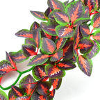 Red speckled terrarium plant variant in the Katumo collection