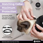 Cat Surgery Recovery Suit Female Cat Onesie for Cats After Surgery Spay Surgical Abdominal Wound Skin Diseases E-Collar Alternative Wear Kitten (Black, Large) - Image 5