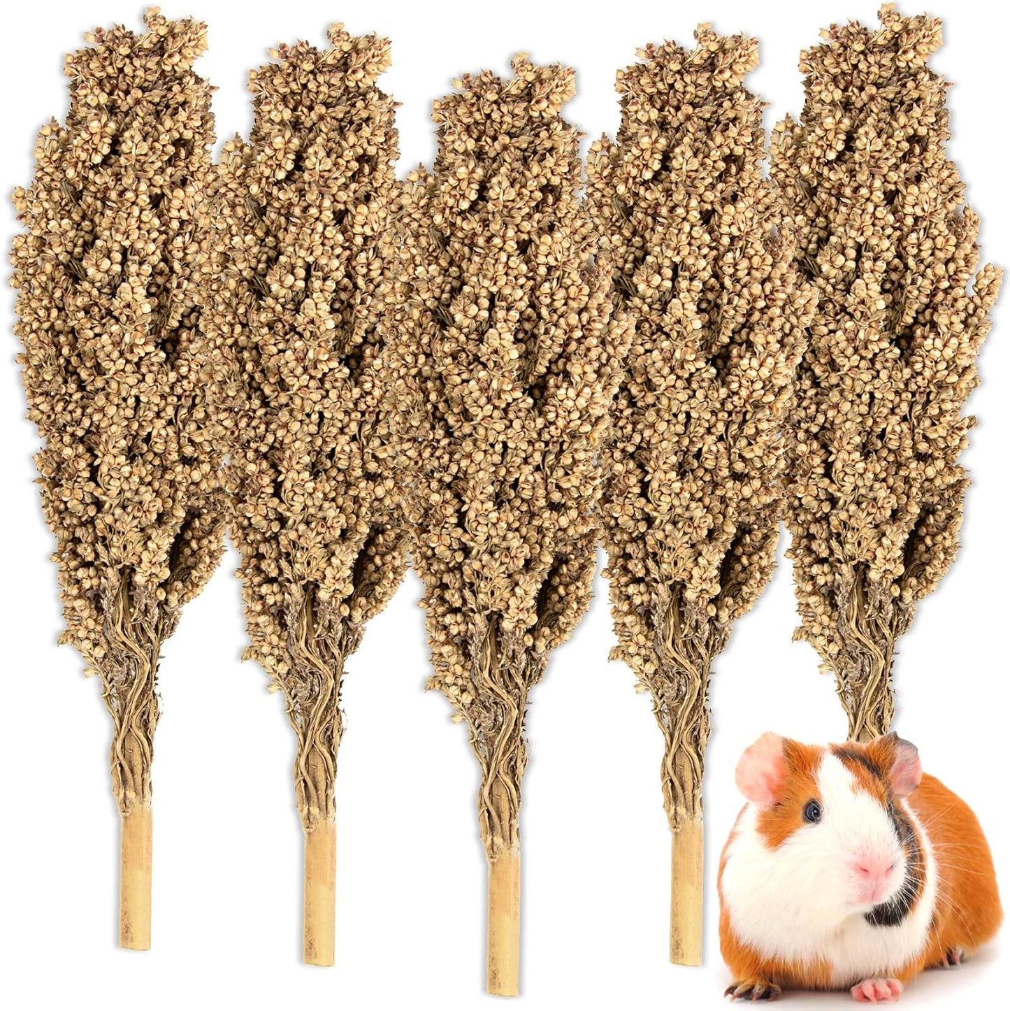 Sukh Natural Hamster Sprays - 5pcs Natural Sun-Dried Red Sorghum Grain,Flower & Herb Grain Stalks for Cage Habitat Bedding Decor for Dwarf Syrian Hamsters,Gerbils,Mice,Cockatiels - Image 1