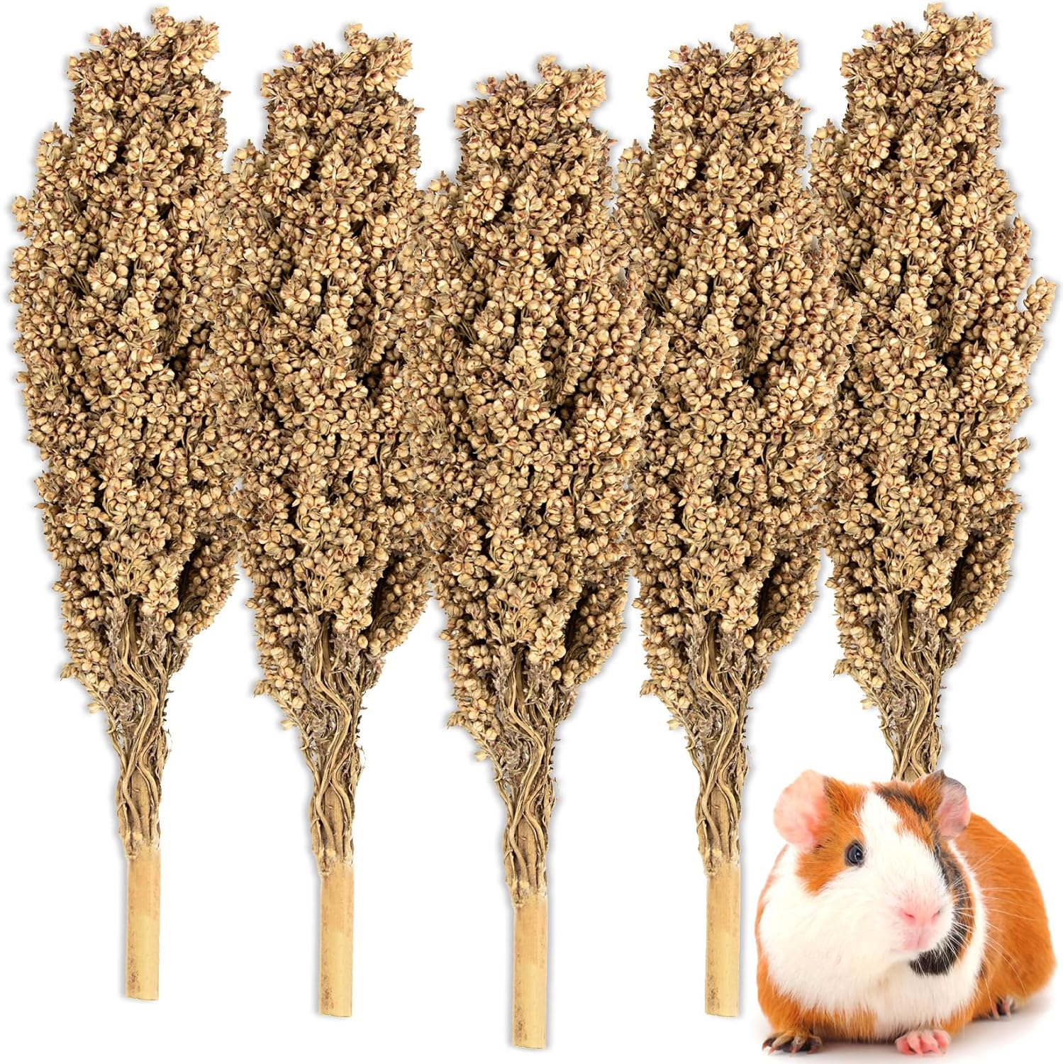 Sukh Natural Hamster Sprays - 5pcs Natural Sun-Dried Red Sorghum Grain,Flower & Herb Grain Stalks for Cage Habitat Bedding Decor for Dwarf Syrian Hamsters,Gerbils,Mice,Cockatiels - Image 1