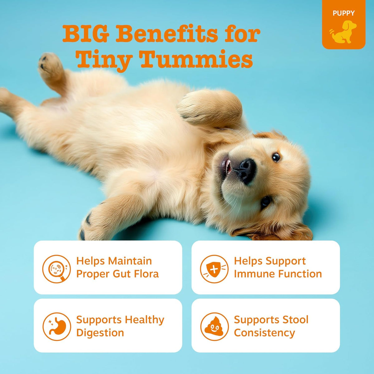 Zesty Paws puppy probiotic pumpkin soft chews for growing dog gut health