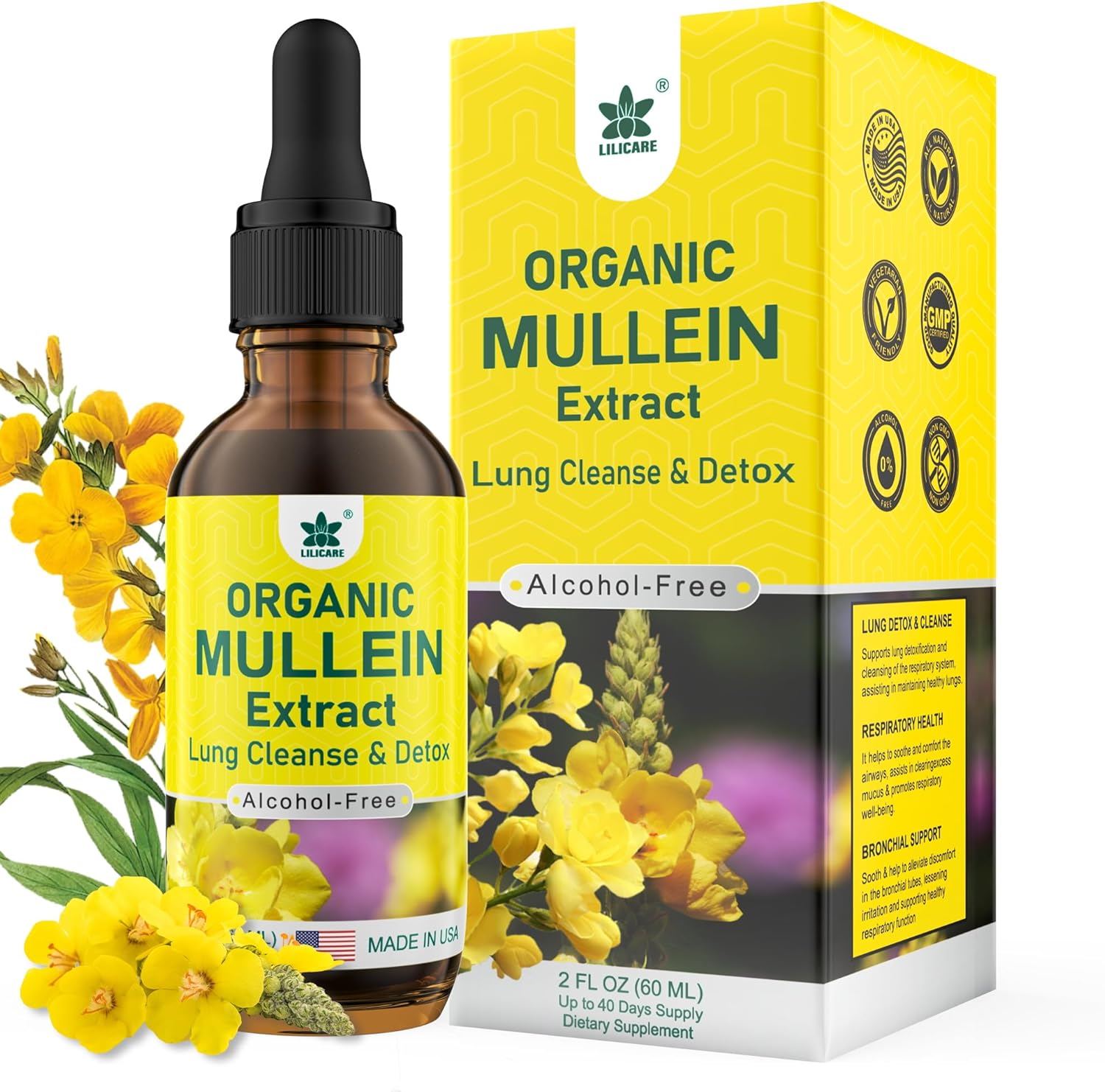 Lilicare Mullein Drops 2 Fluid Ounces front view for respiratory support