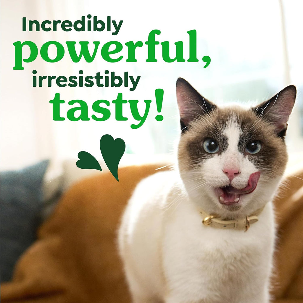 Authentic USA sourced Greenies feline adult dental treats packaging overview