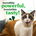 Authentic USA sourced Greenies feline adult dental treats packaging overview