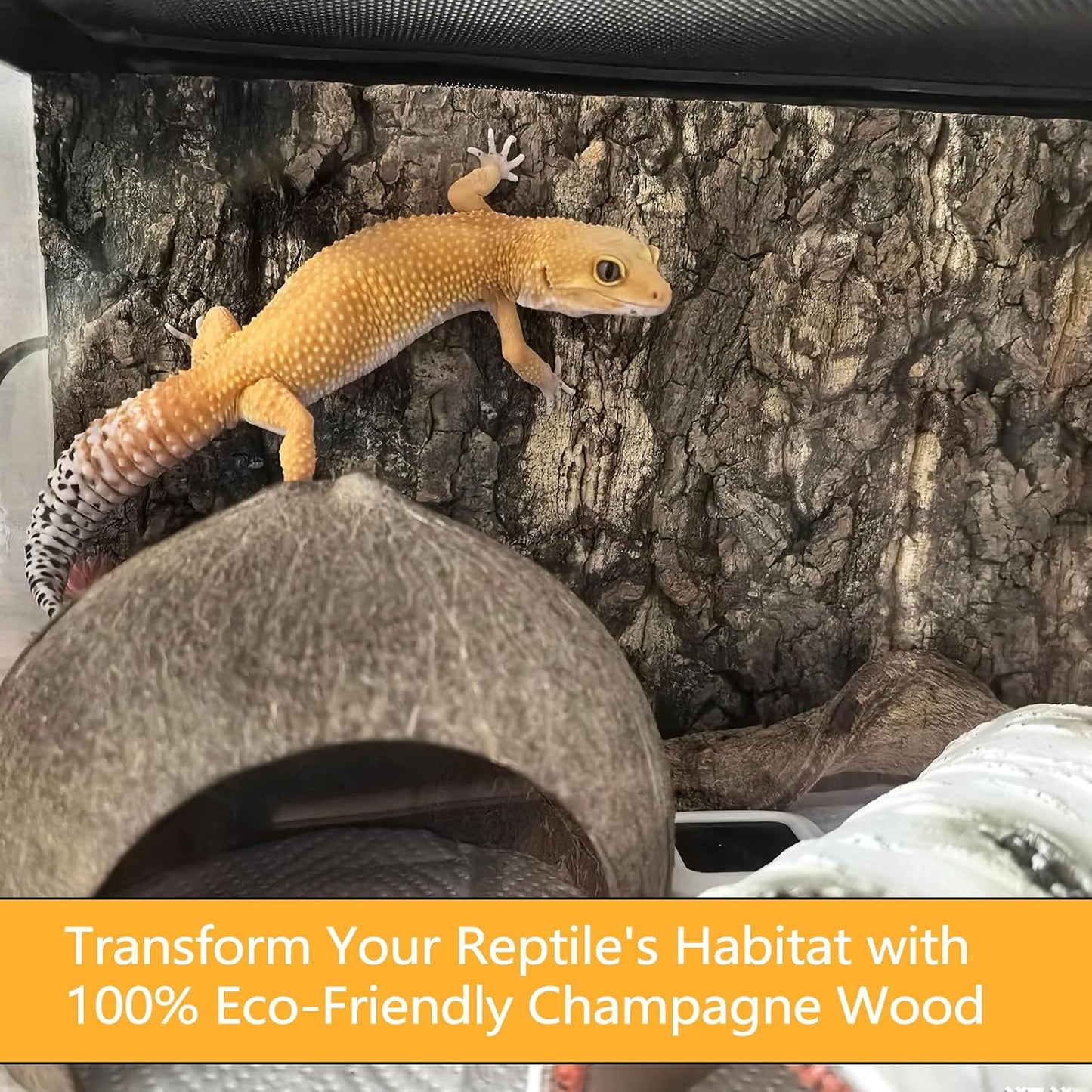 Four pieces of authentic imported reptile terrarium background sheets laid out flat.
