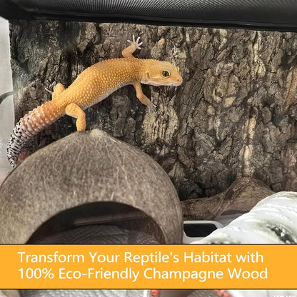 Four pieces of authentic imported reptile terrarium background sheets laid out flat.