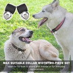 Extra loud bear bells for small and medium dogs hiking safety