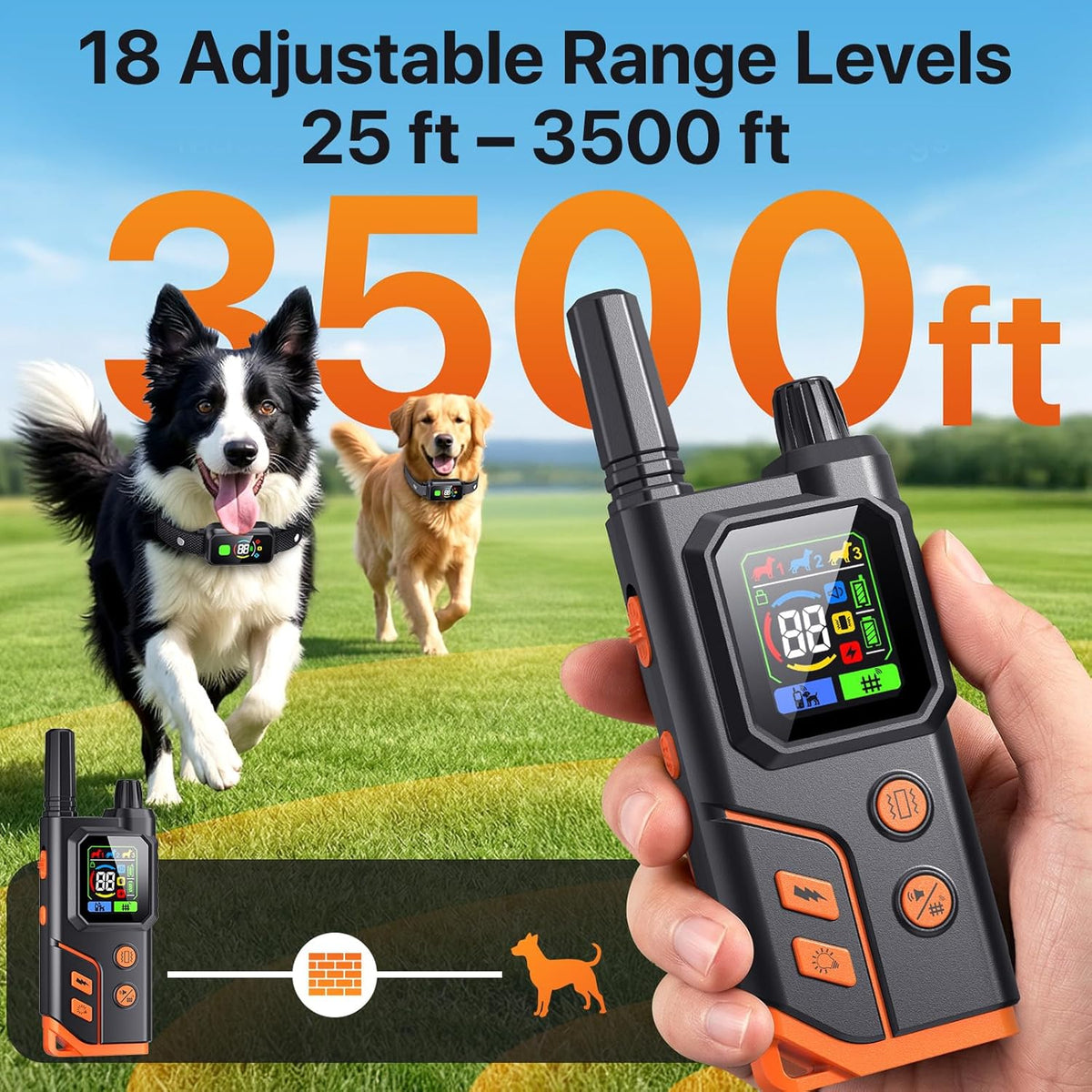 Handheld remote transmitter showing four training modes and built-in flashlight.