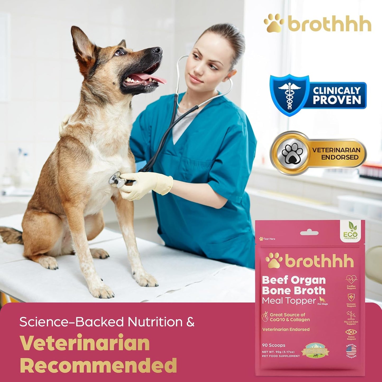 Brothhh pet supplement mixed with warm water to create a nourishing gravy