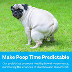 PawSafe USA made puppy and adult dog probiotics for itchy skin allergy support.