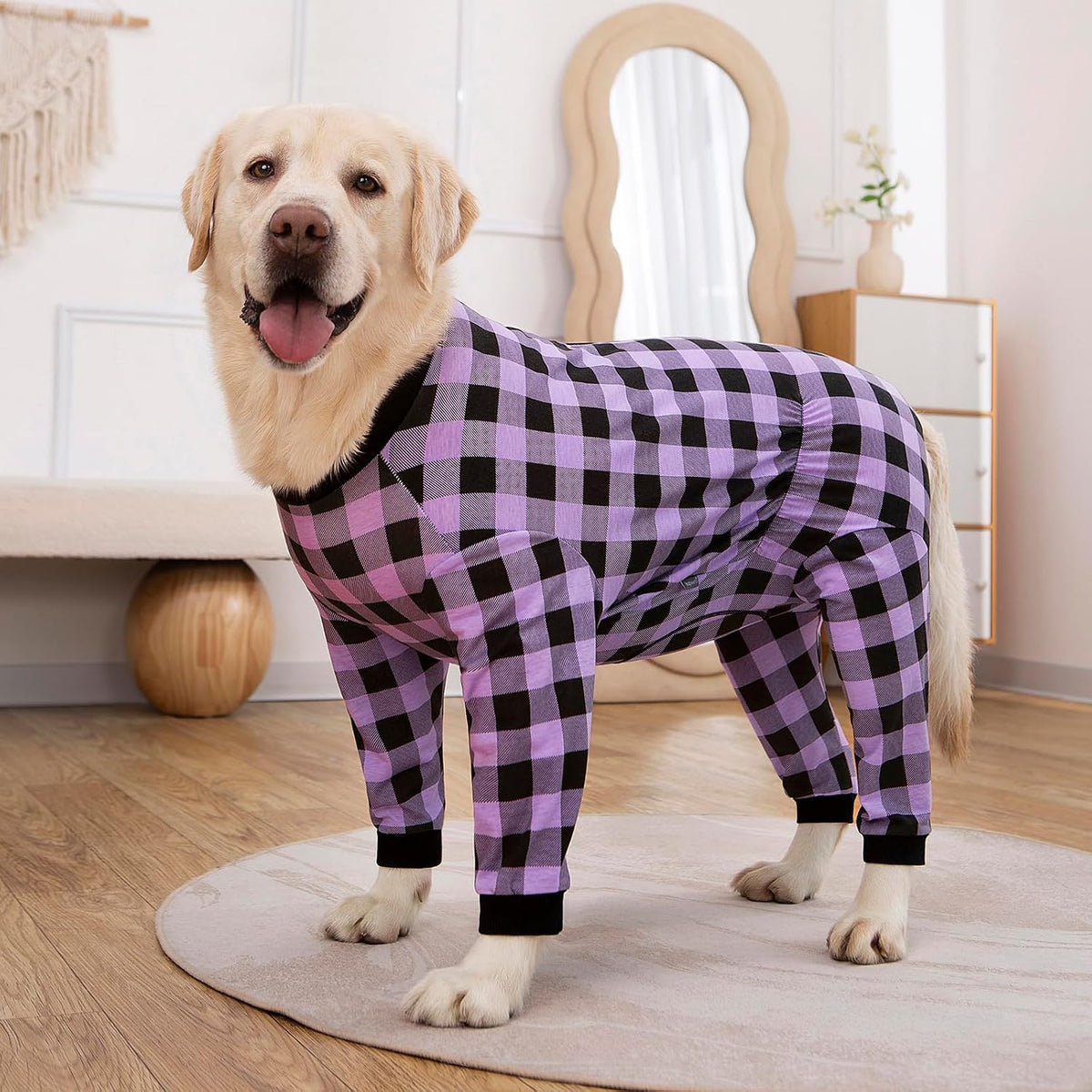 Yeapeeto full zipper pet recovery garment showing customizable male dog urination seam