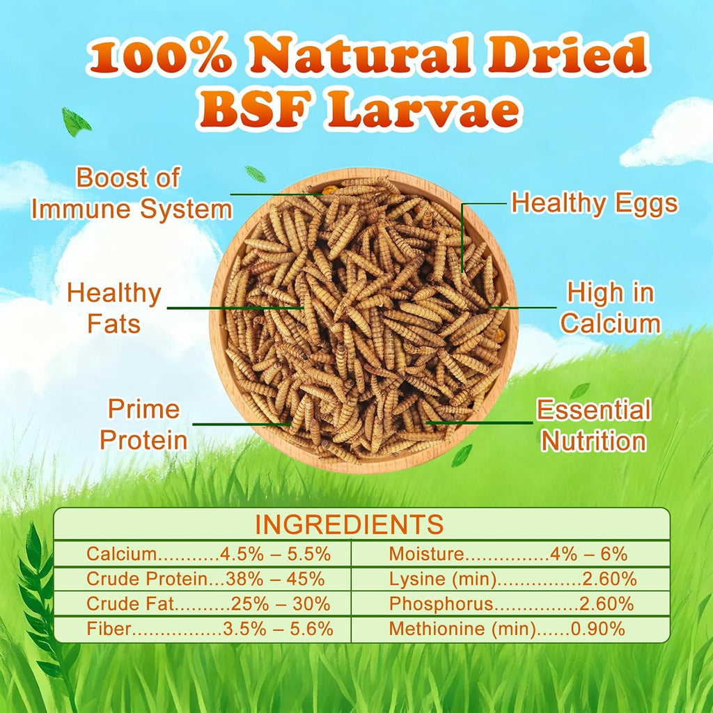 Amzey 11 pounds bulk box of natural BSF larvae