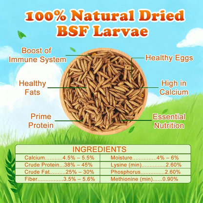 Amzey high calcium dried insect treats for chickens and reptiles