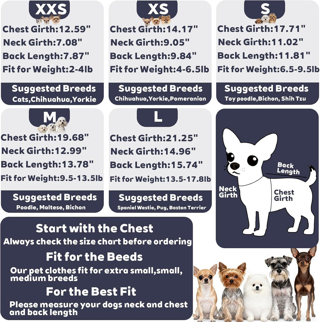 Dinkinty dog winter jacket outfit demonstrating flexible fit and stretchy belly design.