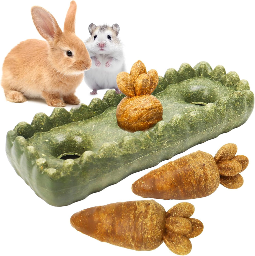 Durable TEEWY grass patch chew toy designed to prevent small pet teeth overgrowth.