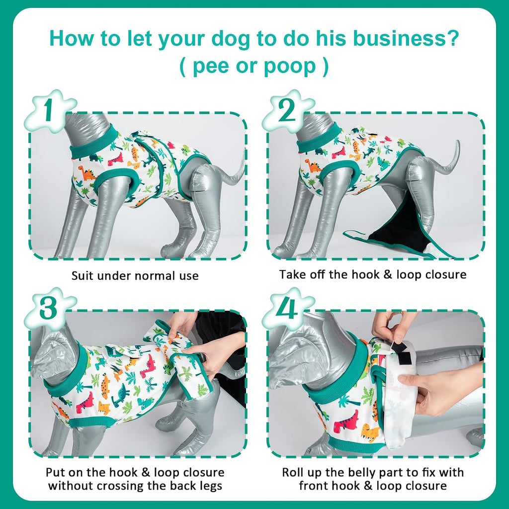 V.PET.B.R breathable cone alternative suit protecting a dog's abdominal surgical stitches