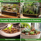 Riare clay balls used in amphibian tank vivarium environment