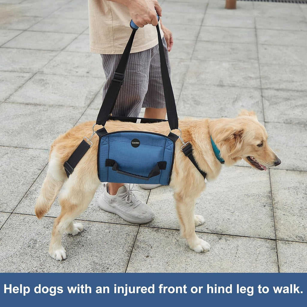 Senior dog mobility sling for stairs and vehicle access