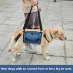 Senior dog mobility sling for stairs and vehicle access