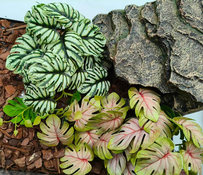 Flexible foliage for snake and bearded dragon tank