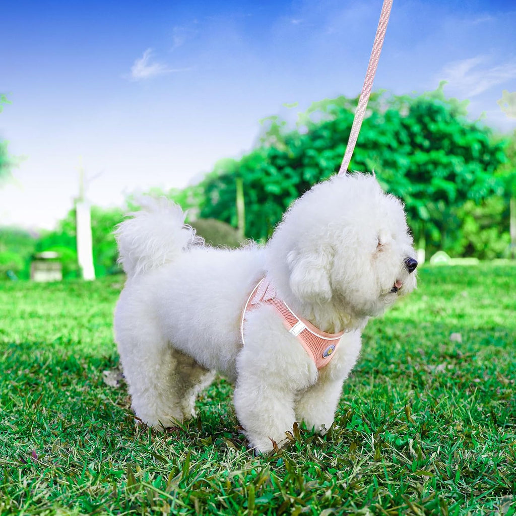 Step in adjustable no pull pet harness for small dogs and cats