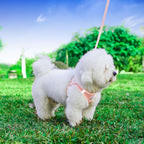 Step in adjustable no pull pet harness for small dogs and cats