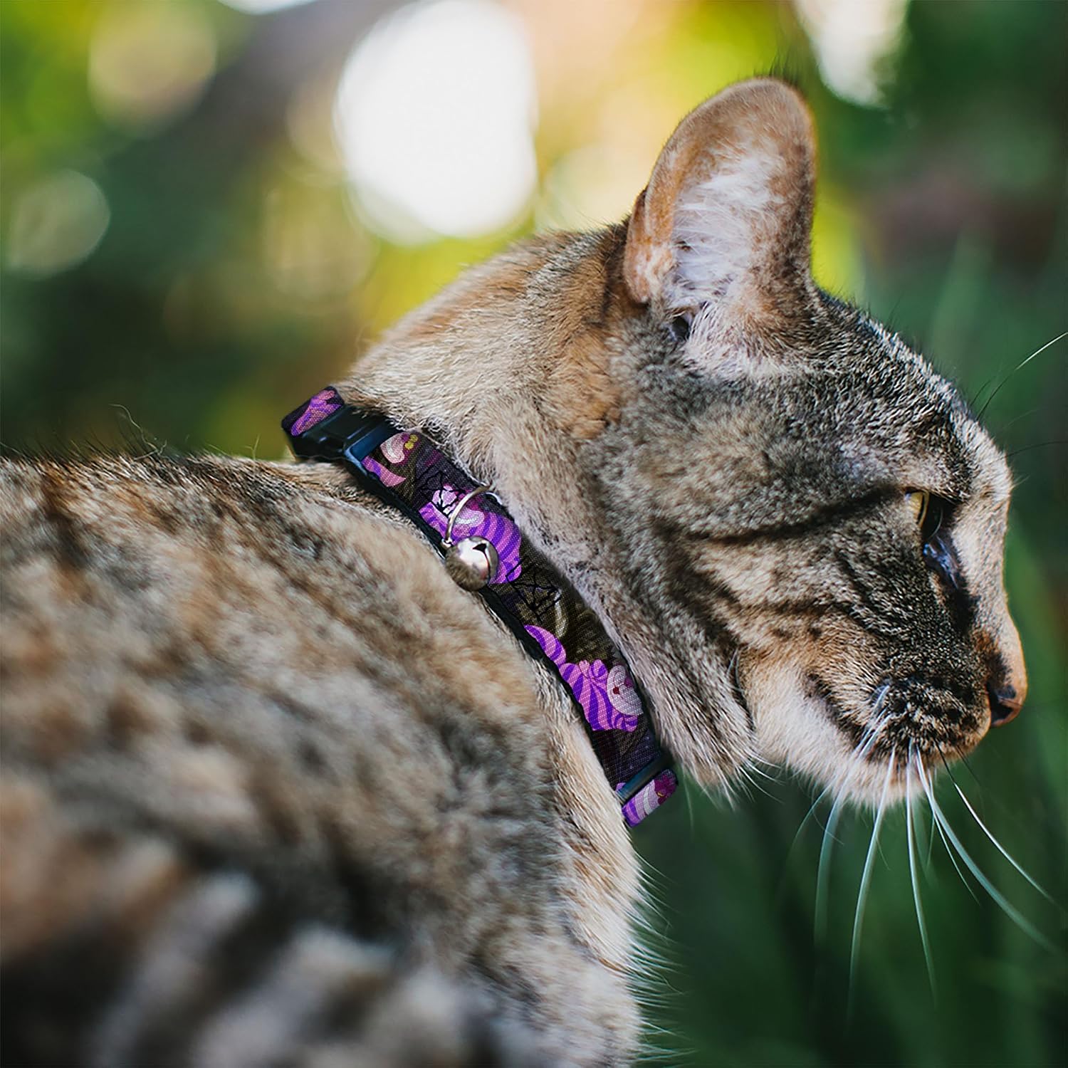 Disney Cheshire Cat tree poses cat collar close up of artwork