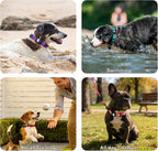 Taglory dog collar set with waterproof compartment