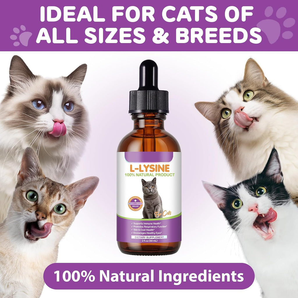 Close up of 60ml Bnhulmxw cat health bottle