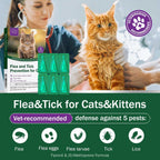 Catego six month supply topical drops application instructions for cats