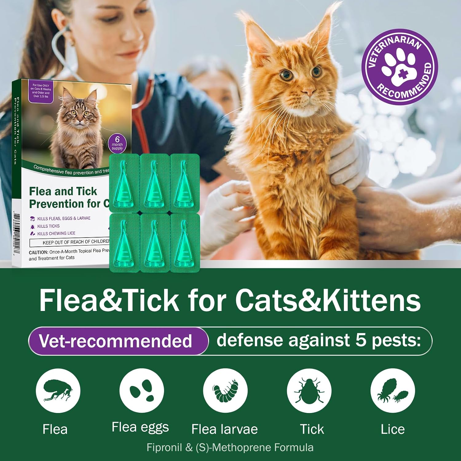 Catego six month supply topical drops application instructions for cats