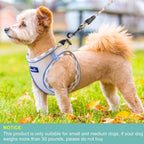 Haapaw no choke dog harness showing double metal D-rings detail
