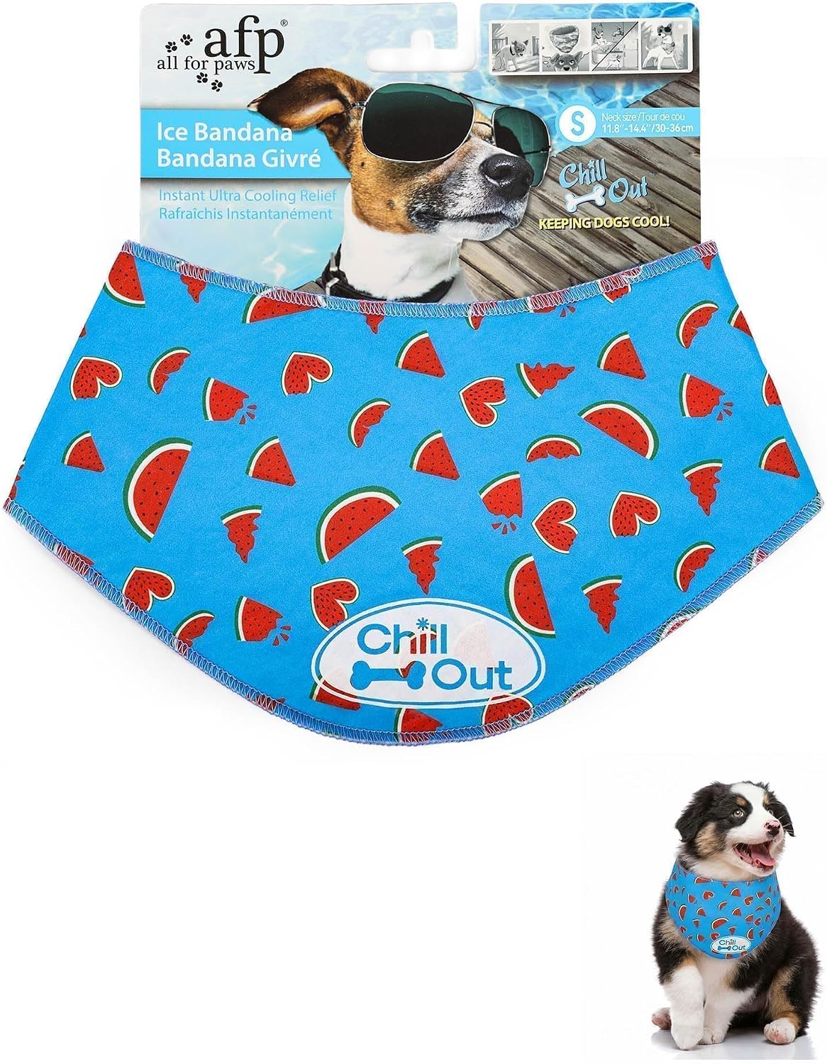Comparison of All For Paws ice bandana on medium sized pet