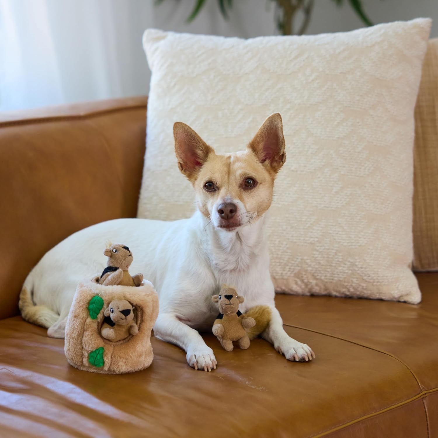 Soft plush replacement squirrels for hide and seek dog puzzle games
