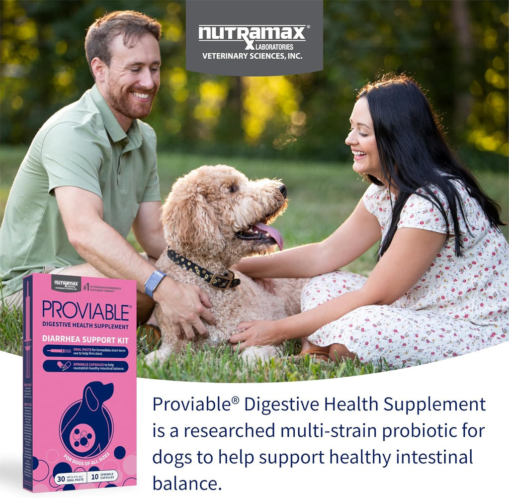 Pet multi strain probiotic kit for canine diarrhea relief and gut health.