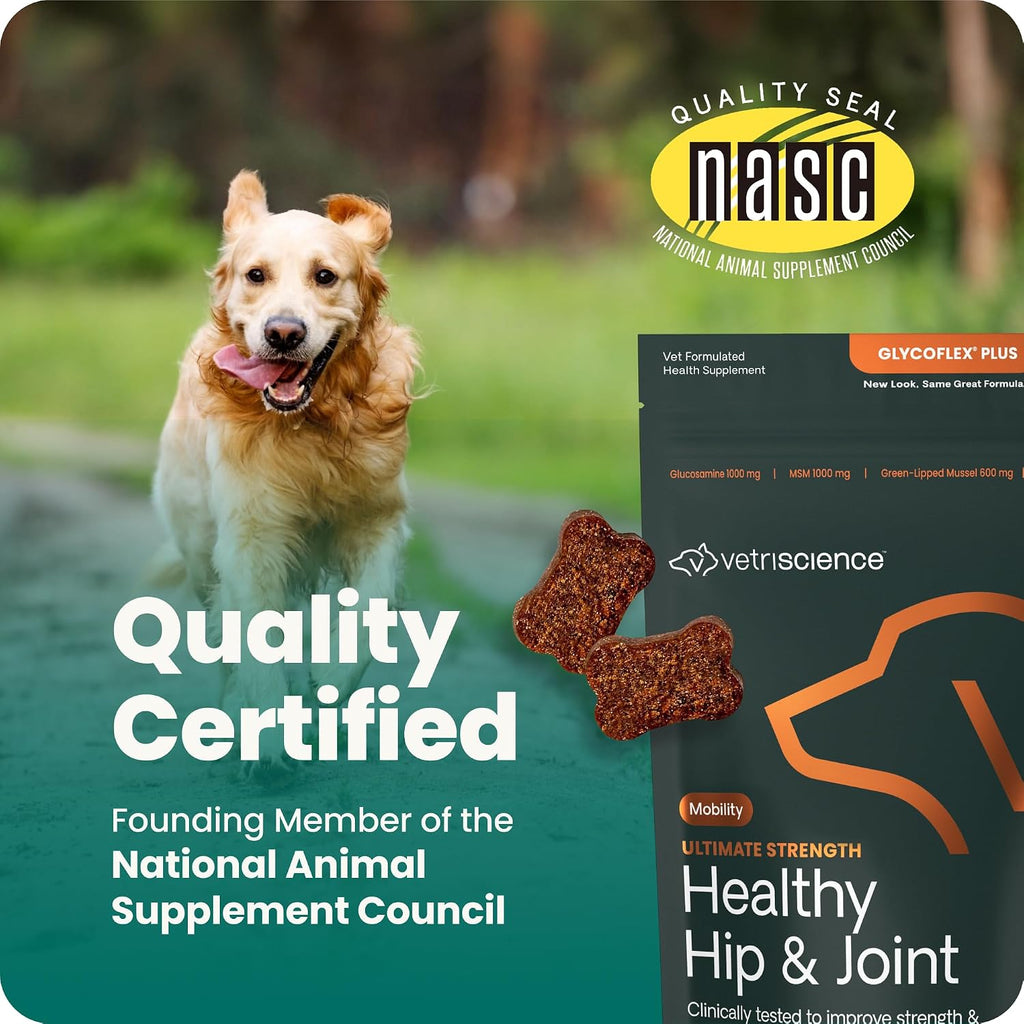 VetriScience joint health supplement for hind leg strength and mobility