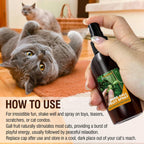 PawsGear alcohol free cat training spray liquid formula bottle close up